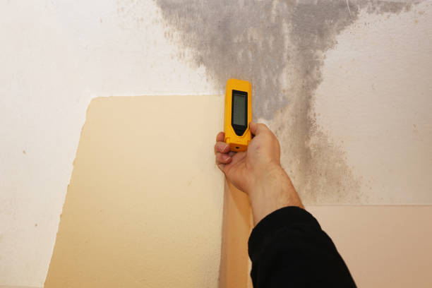 Best Residential Mold Inspection & Testing  in Ridgewood, NJ