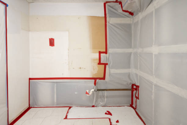 Mold Remediation for Vacation Homes in Ridgewood, NJ